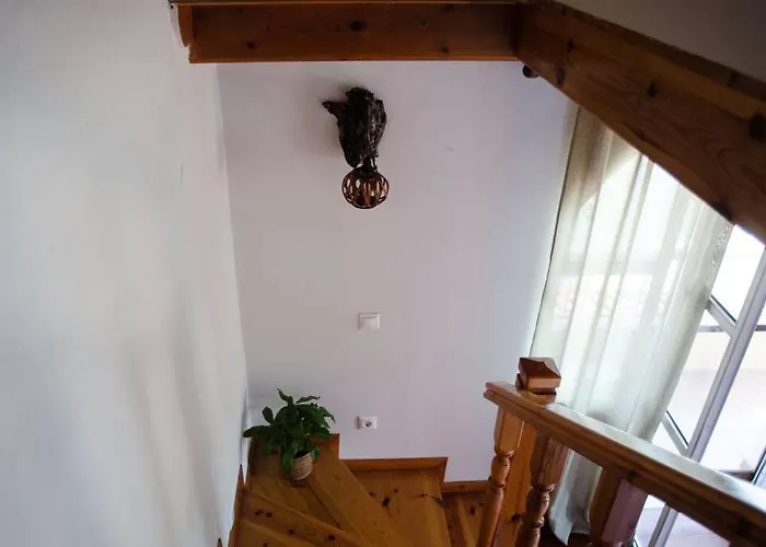 Kohyli Beachfront House *